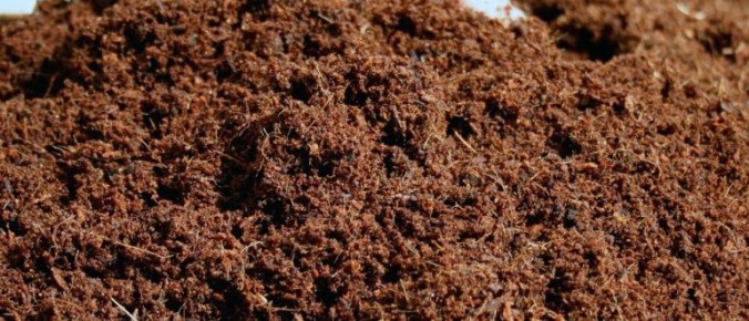 ��� ������� ������ ��������� ��� ������ ����: ������ � �������