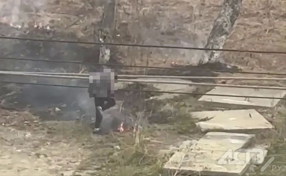 � ����-���������� ���� �������� ����� �����, ������� �������� ������ ���������