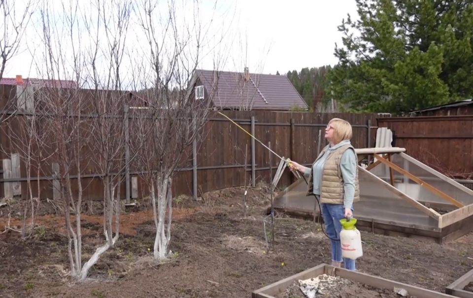 ����� �� �����: ����� � ��� ������������ ���