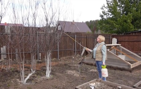 ����� �� �����: ����� � ��� ������������ ���