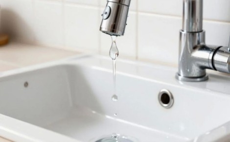 � �����������, 20 ������, ������� ����� ����-���������� �� ����� ��������� ��� ����