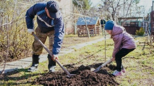 �������� ������������. ������ ����� �����, ����� �������, ��� ������������ �������� �� ����� �������, � ����������� ����� ��� ������ �������