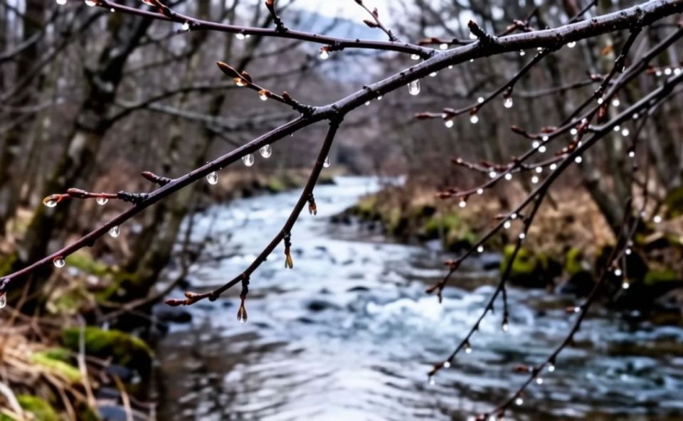 ����, ����� � ��������� ������ ������� ������� �������� � ����� 20 ������