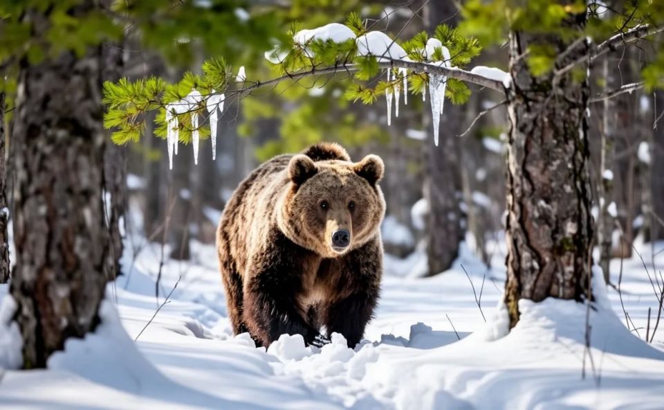 ������ ������� ������: ������� ������ ��� �������� � ����� �� 21 ������