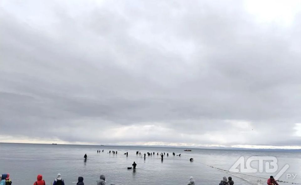 "����, ��� �� ����": ���� � ��������� �������� ������ �� ������ ������