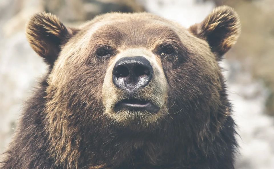 ������� ���������� ����� ���� "������" � ��������� ����-����������