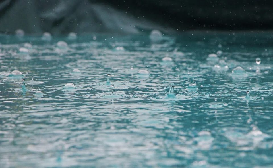 ������� ����� ������� �� ��������