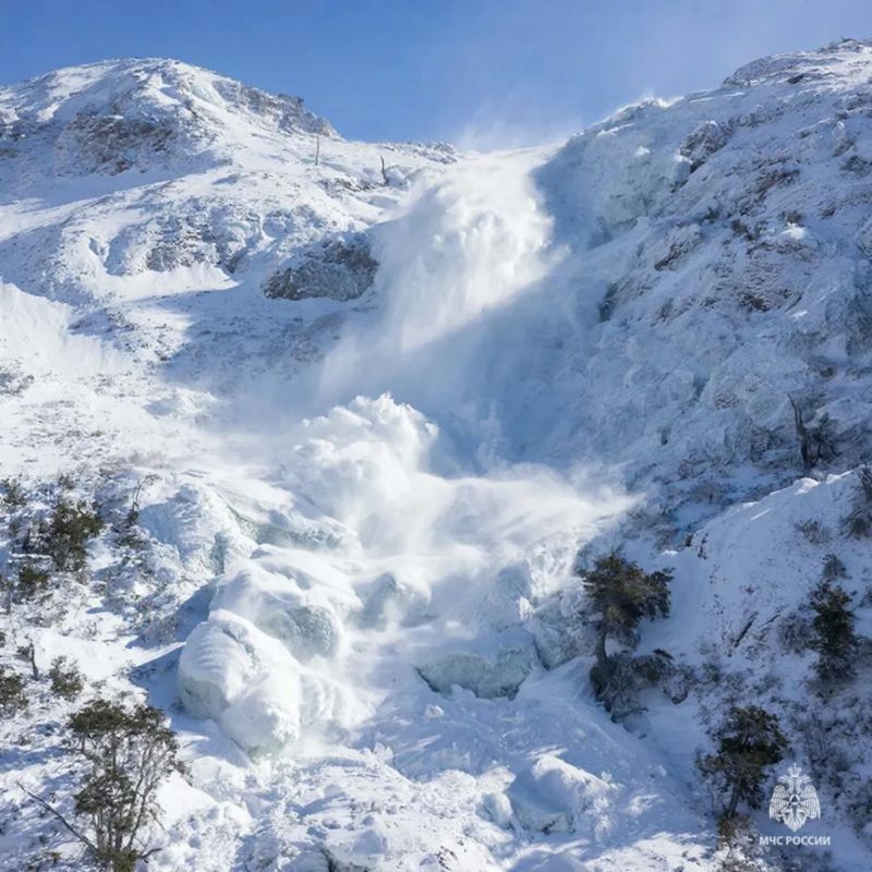 � ���� ������� �������� ������������