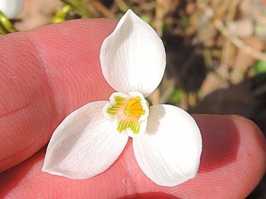 � �� ������ ��� ����� �����?