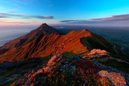 � ���� ���� ��������, ���� ���������� ����������� �������, �������� �� 21 ������