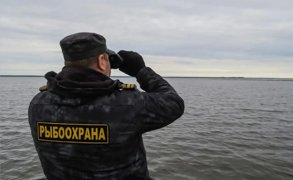 �� ������ ����������� �� �������� ����������� �� 75 000 ������