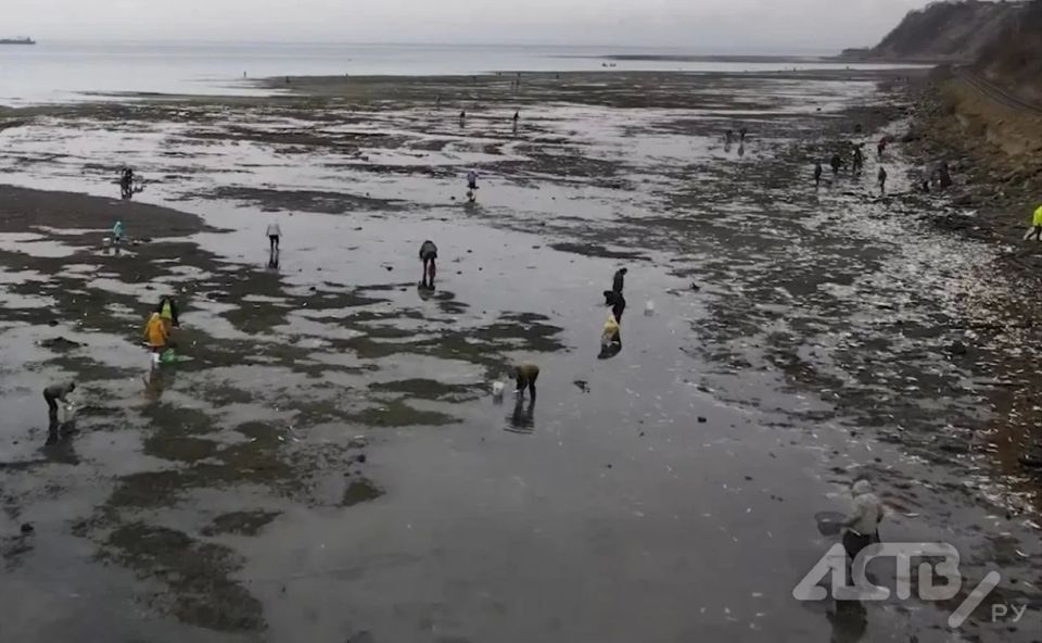 ������ ������ � ������: ������ ������� � ���� ���� ������� ������ ��������