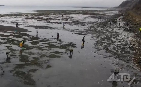 ������ ������ � ������: ������ ������� � ���� ���� ������� ������ ��������