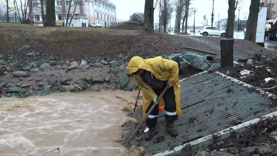 ������� � ����������� ������� � ����-����������