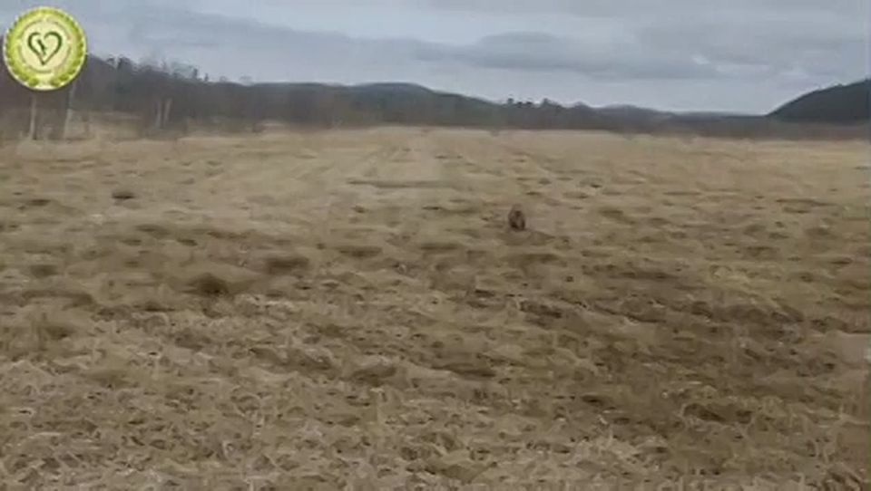 ����������� ����� � ���������� �������� � ��������� �� ���� �� ��������