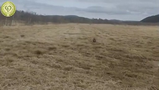 ����������� ����� � ���������� �������� � ��������� �� ���� �� ��������