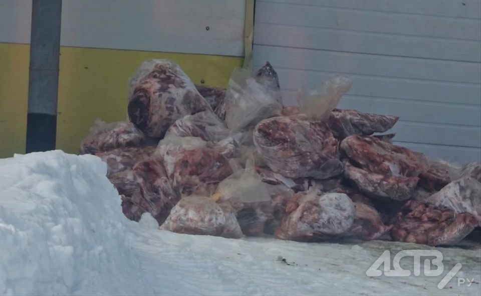 ������ �� ����� ����� � �������: ����������� ����������� ��������� �� ������������ "���������"