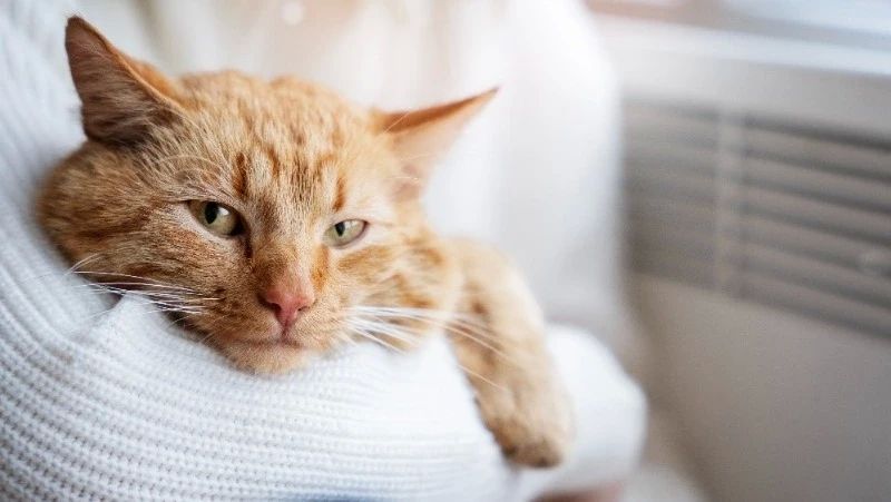 ��������� �������� � ����� � �� ���������� ������ ����-���������� 21 ������