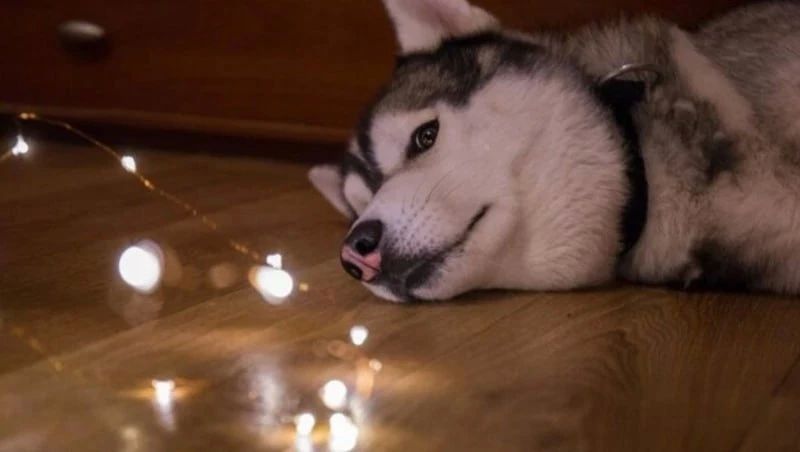 ��������� ��� � ������� ����-���������� ��������� ��� ����� 21 ������