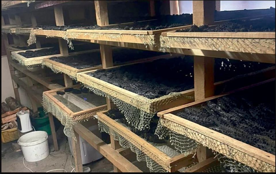 ������ ���������� ����� ������ �� ���������� ����� �������� � ��������