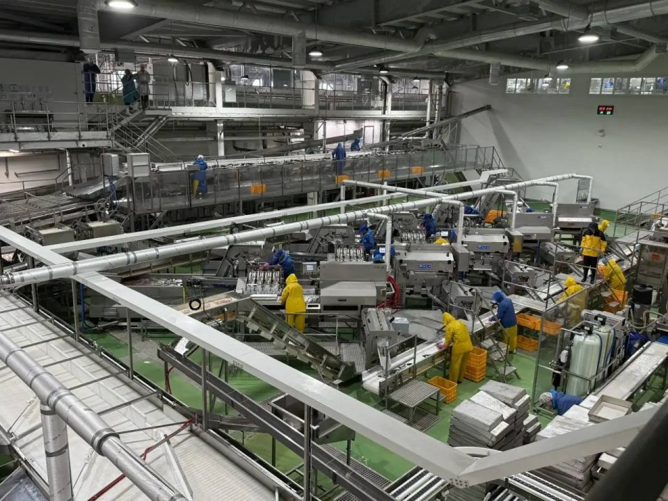 ������ 500 ���� ������ ������������ �� ������ ������ � ���� ��������