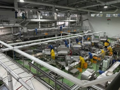 ������ 500 ���� ������ ������������ �� ������ ������ � ���� ��������