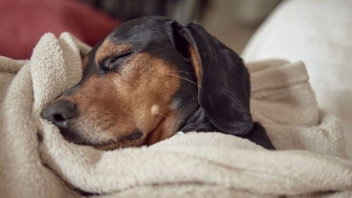 ����������, ������� ���������� � ����� ����-���������� ��������� ��� ��������� 22 ������