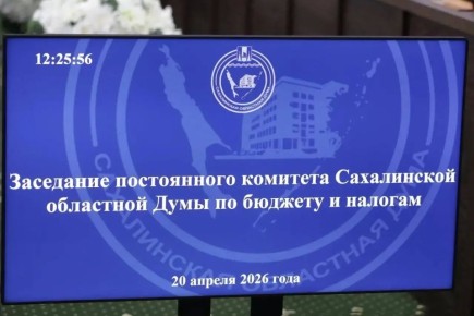 ����������� ������������� ���������� ������������ � ��������� ������� ��� ���������� ����