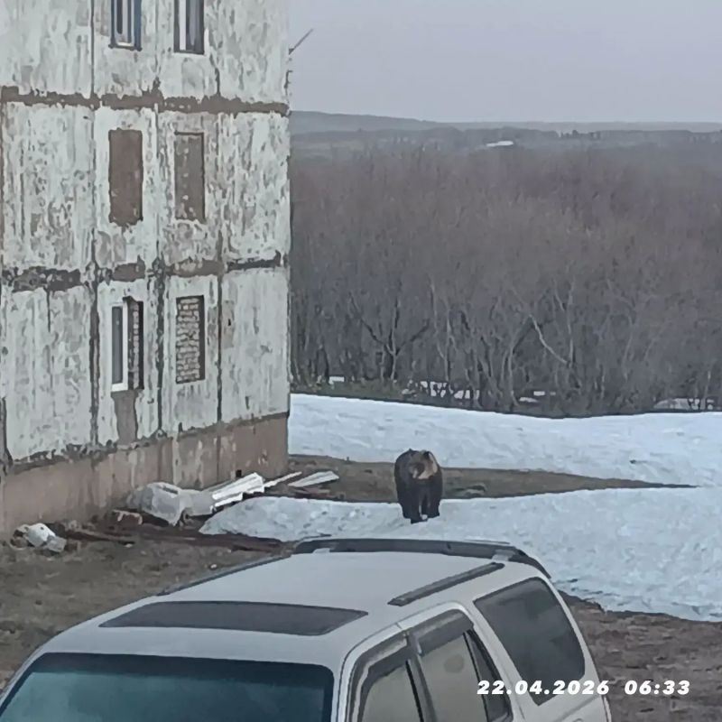 ������� ����� � ����� �� �������