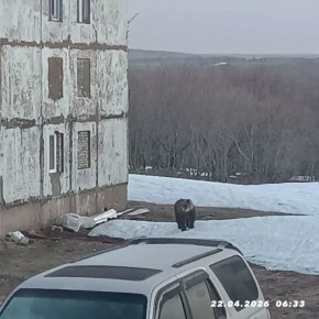 ������� ����� � ����� �� �������