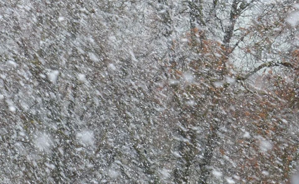 ������� ������ �� �������� ������� ��� ���� ����� ���� ��-�� ��������