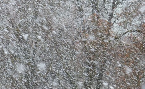 ������� ������ �� �������� ������� ��� ���� ����� ���� ��-�� ��������