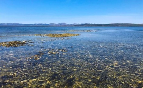 ����� ���������� ����� ������������ �������������� ��������� �������� �� �����