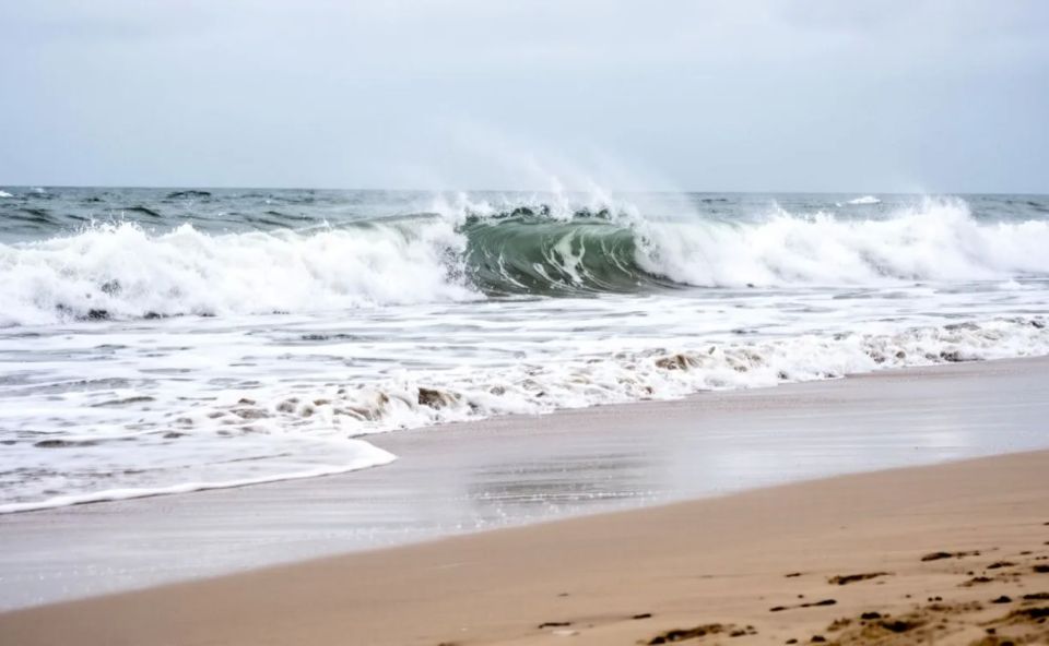 �� ������ ������ �������� ���������� ���� 52-������� �������