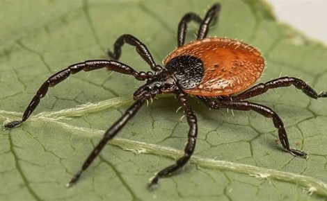 ���������, �����: � ������������ ������ ���������� ��������� � ������ ��������