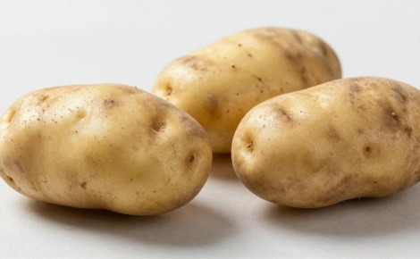 ������ �� ����������� �������������� ��������� �� ������ ��������� � ����������� �������