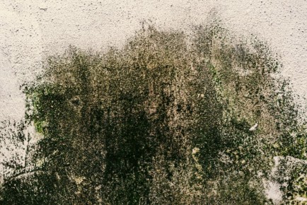 ��� �������� �������: ������� ������ �� ������ � ���������� � ����� ����