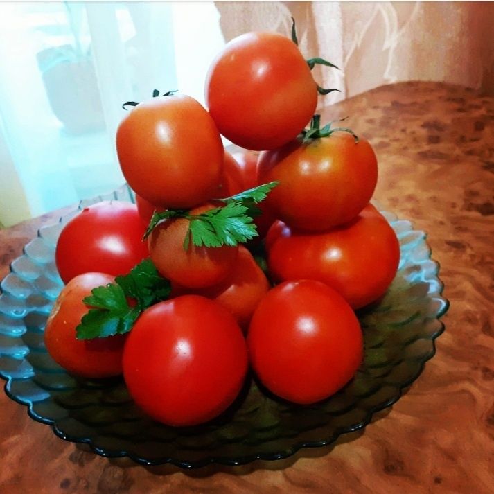 ����� '�����': ������ ����� ��� ������ �������