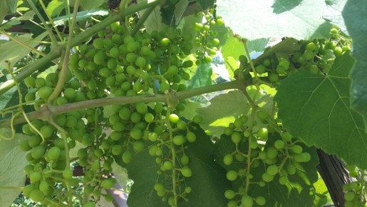 �������� �������: ��� ��������� ��������� ������������ ������ ������