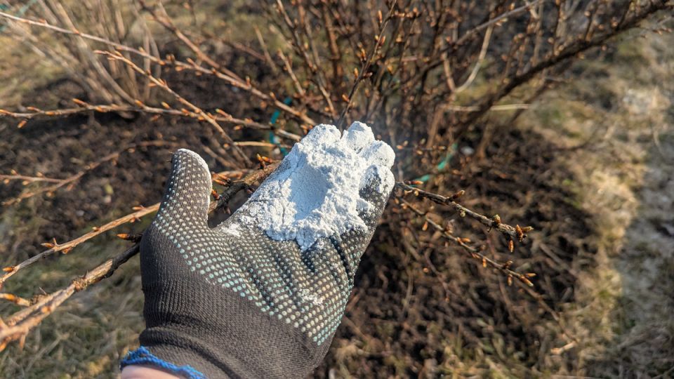 ��� �������� ��������� � ��������� �� ���������� � ������� �������������� �������