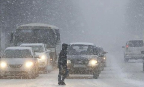 ������ ������� ��� �������� �� ������ ��������