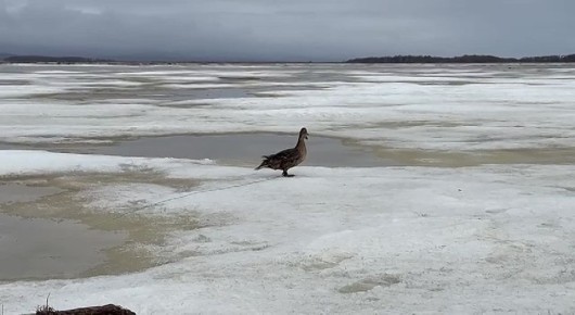 ��������� ���� ������ �� ���� ������� ������ ����� ���� ��������