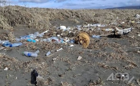 ����� ������ ����� � ������ �������� ������ �� ���� � ������ �����