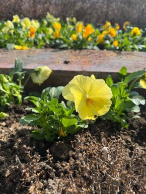 �������� ����������: � �������� ������ ���������� ���������� �����