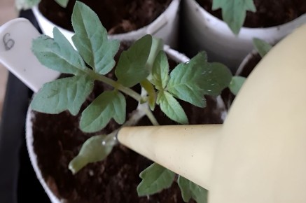 ��� ��������� ������� ������ �� ������� � 2026 ����: ������ ��� ��������