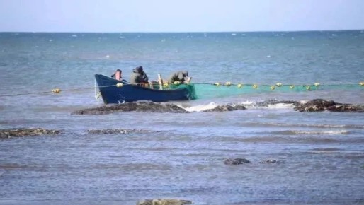 ������ �������� ��������� ������ 37 ����� ���� ���� � ������� � 2026 ����