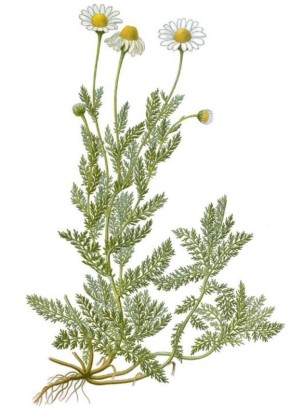 �������: ��� ���������� � ������������ � ��� ���������� �� ��������� �������