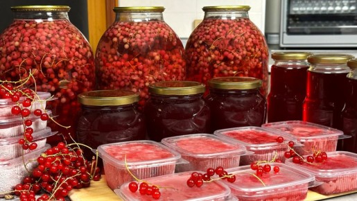 11 ������� � ������� �������� ��������� ������� ��������� �� ����