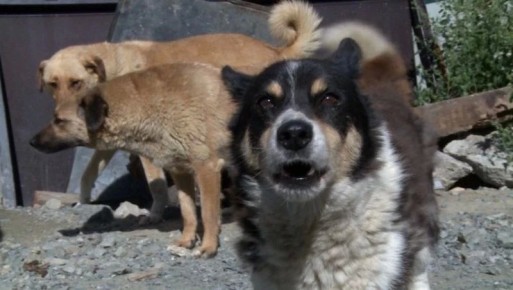 ��� ������ 10 ����� ������ � ������������� ����-��������� �� ���� ������