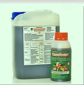 ����� ��������� ������������� ����������: ��� ����� ����� � ����������